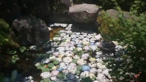 岡寺（龍蓋寺）(奈良県)