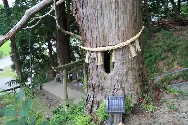 阿久津「田村神社」(郡山市阿久津町)旧社名:伊豆箱根三嶋三社の自然