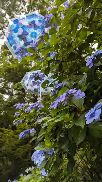 柳谷観音 楊谷寺(京都府)