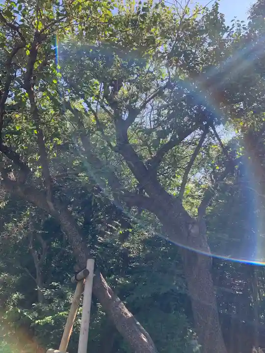 喜多見氷川神社(東京都)