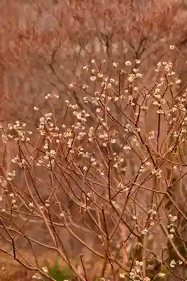 金峰神社(高知県)