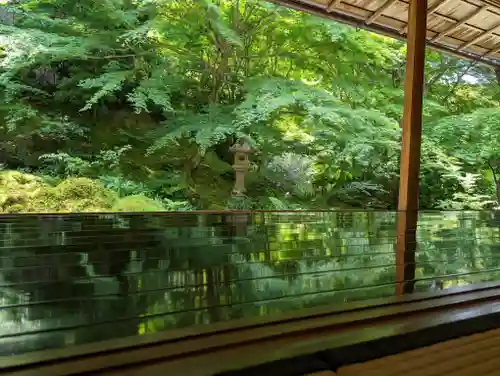 光明寺瑠璃光院(京都府)