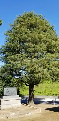 天豊受神社の自然