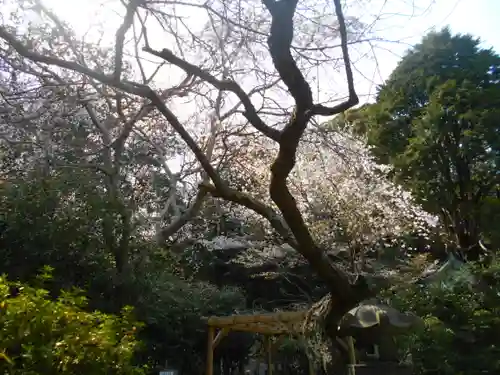 安國論寺（安国論寺）の景色