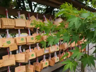 新発田諏訪神社(新潟県)
