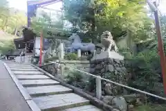 粟田神社の狛犬