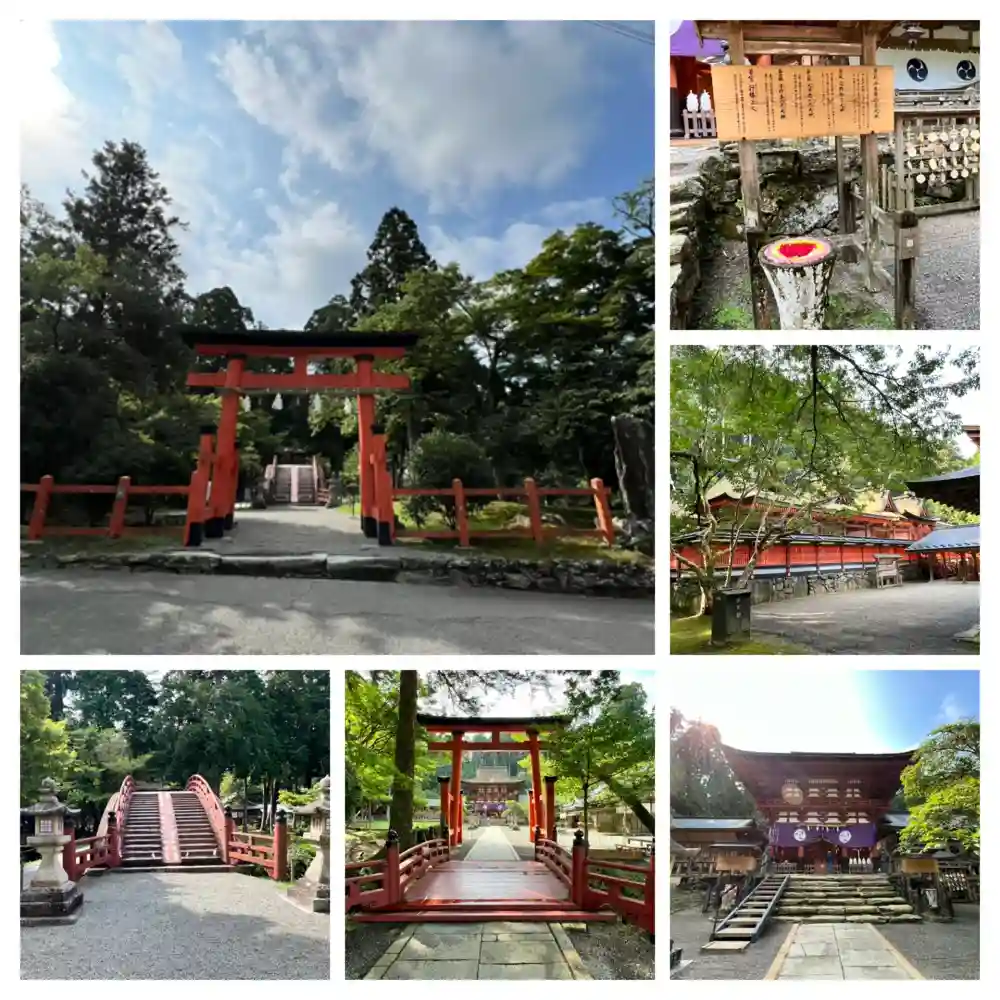 稲美町史 Yahoo!オークション - 稲美町史 稲美町史編集委員会 兵庫県加古