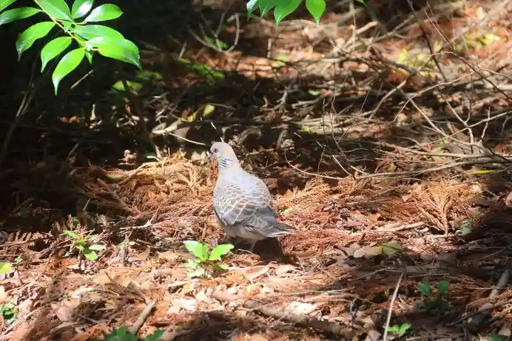 滑川神社 - 仕事と子どもの守り神の動物