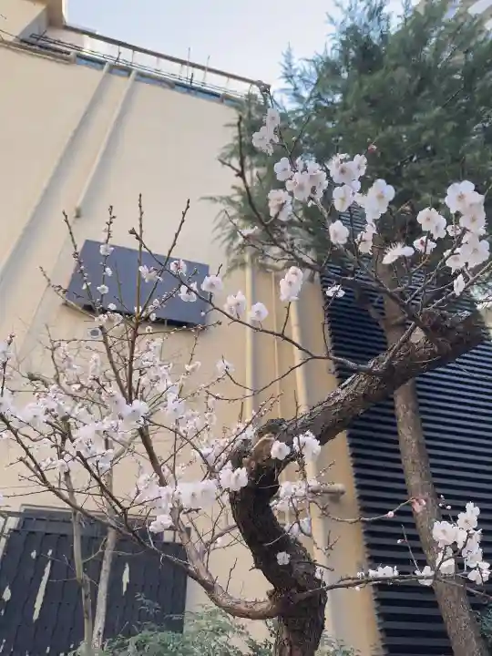 妻戀神社の{uncategorized: "未分類", other: "その他", undefined: "問題あり", building: "その他建物", grave: "お墓", sacred_gate: "鳥居", guardian: "狛犬", statue: "像", buddha: "仏像", history: "歴史", nature: "自然", garden: "庭園", animal: "動物", pagoda: "塔", temizu: "手水舎", mountain_gate: "山門・神門", sanctuary: "本殿・本堂", subordinate: "末社・摂社", art: "芸術", scenery: "景色", jizo: "地蔵", ema: "絵馬", goshuin: "御朱印", omikuji: "おみくじ", items: "授与品その他", amulet: "お守り", goshuincho: "御朱印帳", eats: "食事", festival: "お祭り", votive_dance: "神楽", shichigosan: "七五三参", wedding: "結婚式", experience: "体験その他", initially: "初詣", around: "周辺", anti_infection: "感染症対策"}