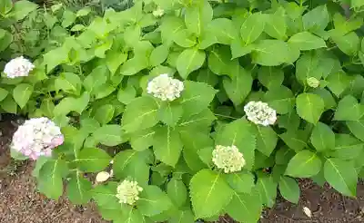 比佐豆知神社(三重県)