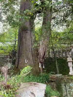 敢國神社(三重県)