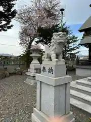 白老八幡神社の狛犬