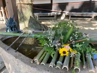 祇園神社の手水舎