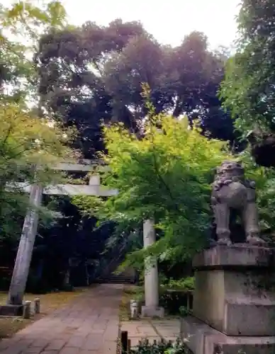 赤坂氷川神社の御朱印