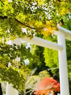 土津神社｜こどもと出世の神さま(福島県)