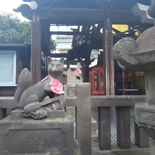 浅草神社の狛犬