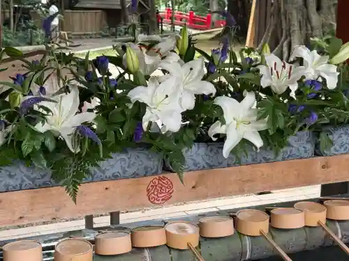 武蔵一宮氷川神社(埼玉県)