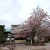 清瀧院の本殿・本堂