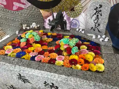 札幌諏訪神社の{uncategorized: "未分類", other: "その他", undefined: "問題あり", building: "その他建物", grave: "お墓", sacred_gate: "鳥居", guardian: "狛犬", statue: "像", buddha: "仏像", history: "歴史", nature: "自然", garden: "庭園", animal: "動物", pagoda: "塔", temizu: "手水舎", mountain_gate: "山門・神門", sanctuary: "本殿・本堂", subordinate: "末社・摂社", art: "芸術", scenery: "景色", jizo: "地蔵", ema: "絵馬", goshuin: "御朱印", omikuji: "おみくじ", items: "授与品その他", amulet: "お守り", goshuincho: "御朱印帳", eats: "食事", festival: "お祭り", votive_dance: "神楽", shichigosan: "七五三参", wedding: "結婚式", experience: "体験その他", initially: "初詣", around: "周辺", anti_infection: "感染症対策"}