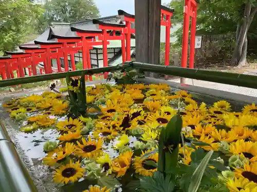 住吉神社の手水舎