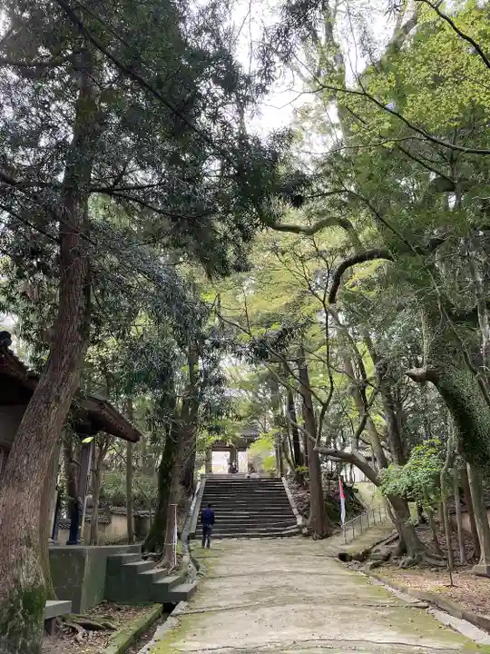 功山寺(山口県)