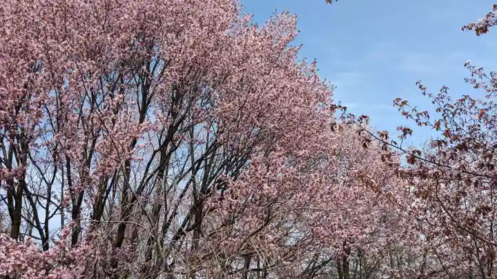 六角堂(深山峠新四国八十八ヶ所霊場)の自然