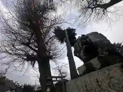 春日神社(京都府)