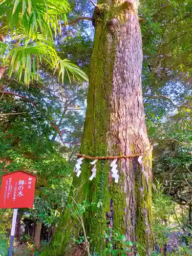 宇賀部神社(和歌山県)