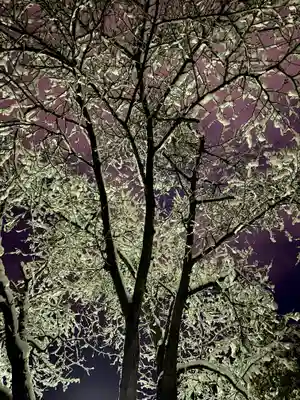 伊達神社(北海道)