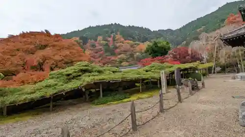 善峯寺(京都府)
