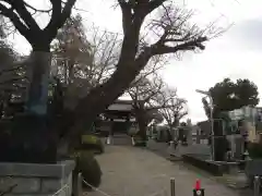 妙光寺(神奈川県)