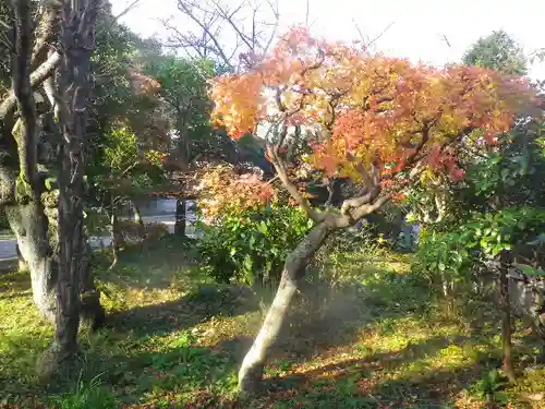 長勝寺の庭園