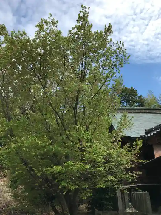 河内阿蘇神社の自然