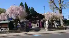 櫻山神社の山門