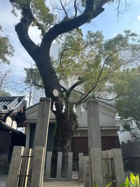 素盞烏尊神社(大阪府)