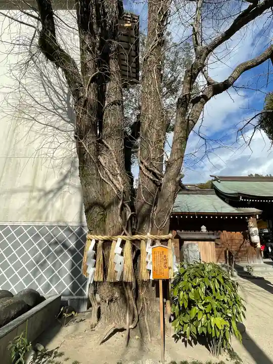 櫛田神社の自然