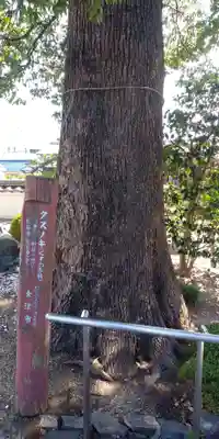 西徳寺の自然