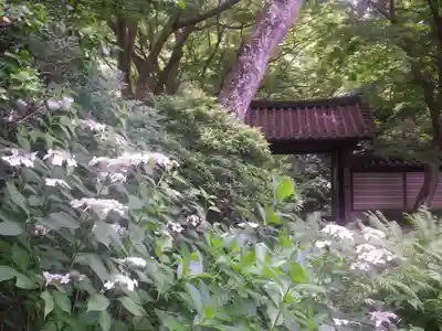 瑞泉寺のその他建物