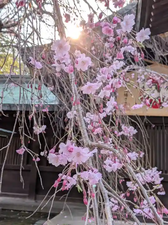 大宮八幡宮(東京都)