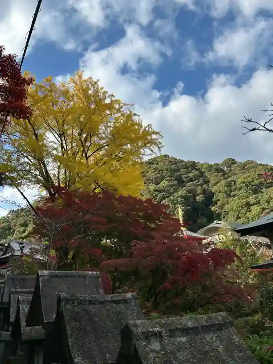 朝護孫子寺の{uncategorized: "未分類", other: "その他", undefined: "問題あり", building: "その他建物", grave: "お墓", sacred_gate: "鳥居", guardian: "狛犬", statue: "像", buddha: "仏像", history: "歴史", nature: "自然", garden: "庭園", animal: "動物", pagoda: "塔", temizu: "手水舎", mountain_gate: "山門・神門", sanctuary: "本殿・本堂", subordinate: "末社・摂社", art: "芸術", scenery: "景色", jizo: "地蔵", ema: "絵馬", goshuin: "御朱印", omikuji: "おみくじ", items: "授与品その他", amulet: "お守り", goshuincho: "御朱印帳", eats: "食事", festival: "お祭り", votive_dance: "神楽", shichigosan: "七五三参", wedding: "結婚式", experience: "体験その他", initially: "初詣", around: "周辺", anti_infection: "感染症対策"}