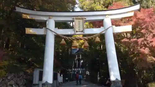 宝登山神社の鳥居