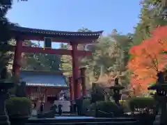 北口本宮冨士浅間神社の鳥居