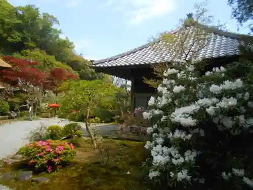 海蔵寺の庭園