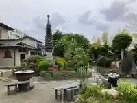 長楽寺の{uncategorized: "未分類", other: "その他", undefined: "問題あり", building: "その他建物", grave: "お墓", sacred_gate: "鳥居", guardian: "狛犬", statue: "像", buddha: "仏像", history: "歴史", nature: "自然", garden: "庭園", animal: "動物", pagoda: "塔", temizu: "手水舎", mountain_gate: "山門・神門", sanctuary: "本殿・本堂", subordinate: "末社・摂社", art: "芸術", scenery: "景色", jizo: "地蔵", ema: "絵馬", goshuin: "御朱印", omikuji: "おみくじ", items: "授与品その他", amulet: "お守り", goshuincho: "御朱印帳", eats: "食事", festival: "お祭り", votive_dance: "神楽", shichigosan: "七五三参", wedding: "結婚式", experience: "体験その他", initially: "初詣", around: "周辺", anti_infection: "感染症対策"}