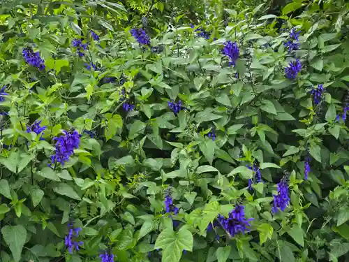 風輪寺(大阪府)