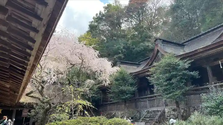 吉野水分神社(吉野町)の本殿・本堂