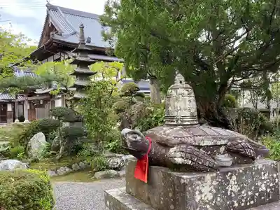 延光寺(高知県)