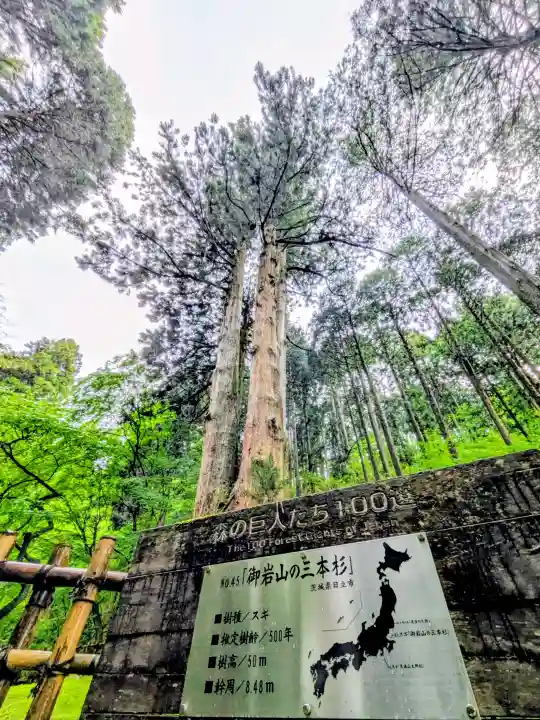 御岩神社の{uncategorized: "未分類", other: "その他", undefined: "問題あり", building: "その他建物", grave: "お墓", sacred_gate: "鳥居", guardian: "狛犬", statue: "像", buddha: "仏像", history: "歴史", nature: "自然", garden: "庭園", animal: "動物", pagoda: "塔", temizu: "手水舎", mountain_gate: "山門・神門", sanctuary: "本殿・本堂", subordinate: "末社・摂社", art: "芸術", scenery: "景色", jizo: "地蔵", ema: "絵馬", goshuin: "御朱印", omikuji: "おみくじ", items: "授与品その他", amulet: "お守り", goshuincho: "御朱印帳", eats: "食事", festival: "お祭り", votive_dance: "神楽", shichigosan: "七五三参", wedding: "結婚式", experience: "体験その他", initially: "初詣", around: "周辺", anti_infection: "感染症対策"}