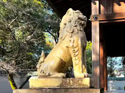 深川神社の狛犬
