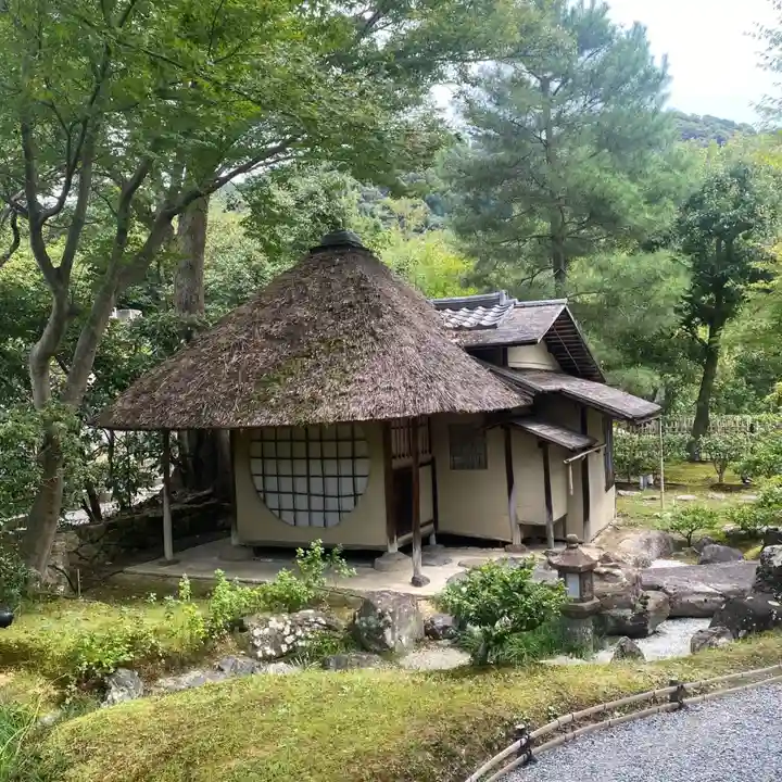 高台寺(高台寿聖禅寺・高臺寺)(京都府)